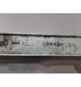 Radiatore acqua BMW F20 F30 automatico - 13015