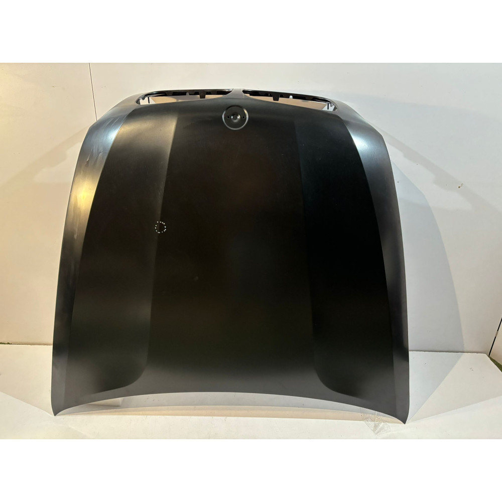 Cofano BMW X5 E70 / X6 E71 / - 13787