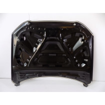 Audi Q5 8R0 Cofano / Cofano - 0457