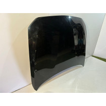 BMW 1 F20/F21 Cofano/copertura motore (475)-13985