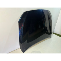 BMW 5 GT F07Cofano/copertura motore-13994