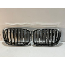 BMW X3 G01 / X4 G02 Griglia / Destra 14602