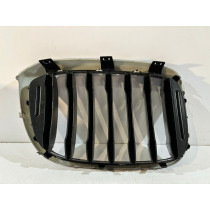 BMW X3 G01/X4 G02 Griglia Rene Sinistra-14951