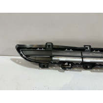 BMW X3 F25 LCI Griglia del paraurti centrale-15700