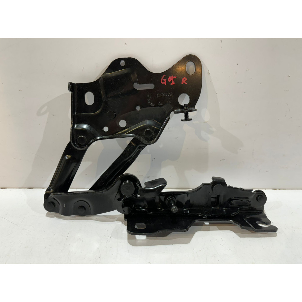 Cerniera cofano destra BMW G05 G06 G07 - 16379
