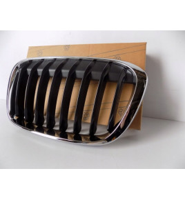 BMW X1 F48 / F49 Rene / Griglia sinistra - 3983