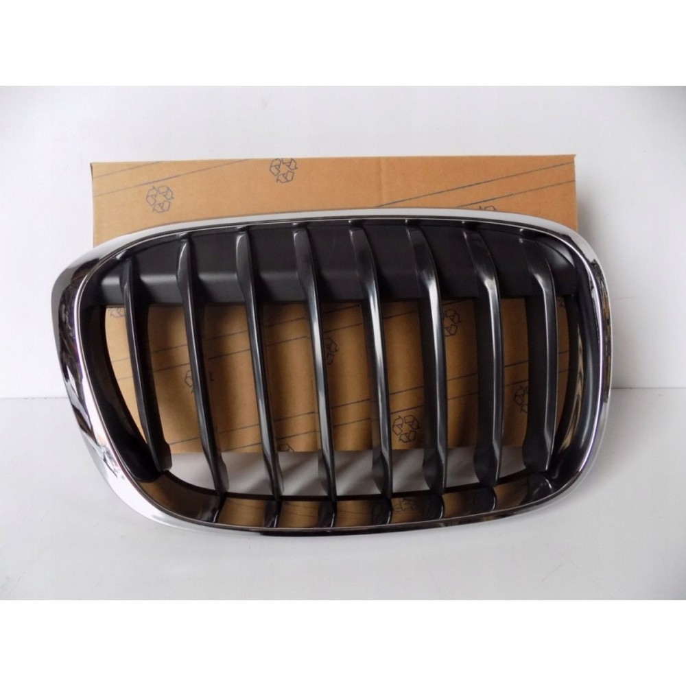 BMW X1 F48 / F49 Rene / Griglia destra - 3984