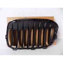 BMW X1 F48 / F49 Rene / Griglia destra - 3984