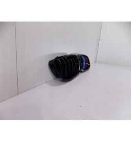 BMW 5 F10F11 Reni / Griglia - 0202