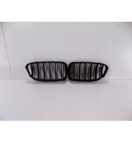 BMW 5 F10F11 Reni / Griglia - 0202
