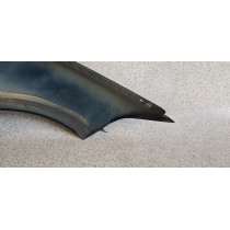 BMW 1 F20/F21 Parafango Sinistro - 12555