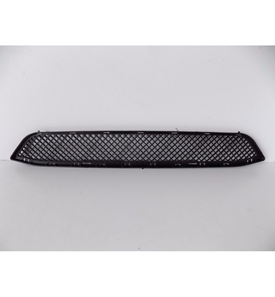 BMW X1 E84 Griglia paraurti centrale - 4089