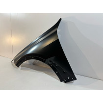 BMW X7 G07 Parafango anteriore sx ALU. - 17687