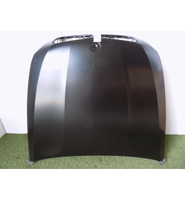 BMW X5 E70/X6 E71 Cofano/Coperchio motore-3510