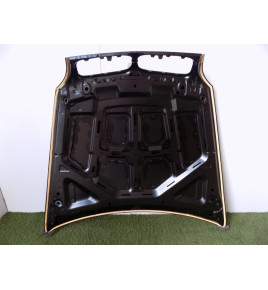 BMW X5 E70/X6 E71 Cofano/Coperchio motore-3510
