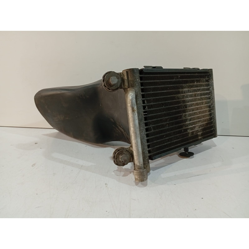 BMW X3 E83 Radiatore...