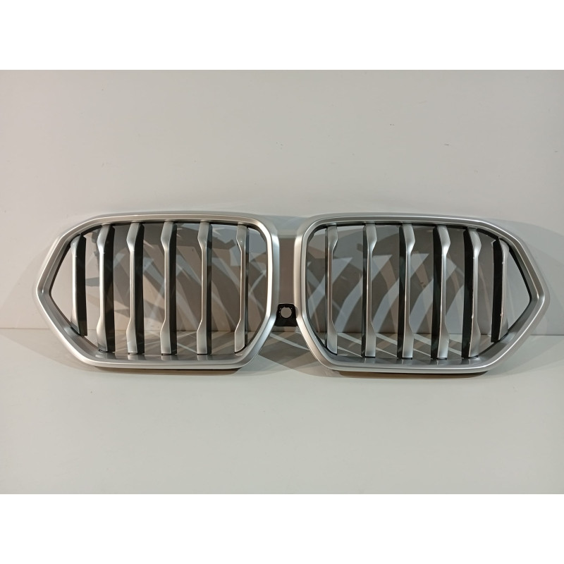 BMW X6 G06 Griglia del radiatore / Griglia satinata - 18721