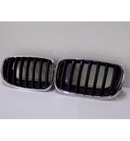 BMW X5 E70 / X6 E71 Set reni/griglia- 4111