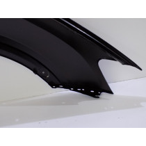 BMW X3 F25 / X4 F26 Parafango anteriore sx - 4213