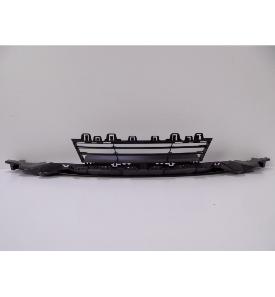BMW 3 F30/F31 LCI Griglia paraurti centrale - 4245