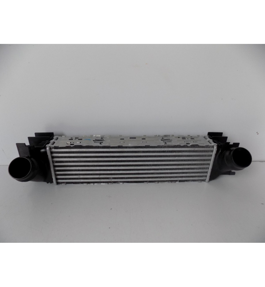 Raffreddatore BMW 5 F10 F11 520i 528i  4418