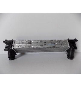 Raffreddatore BMW 5 F10 F11 520i 528i  4418