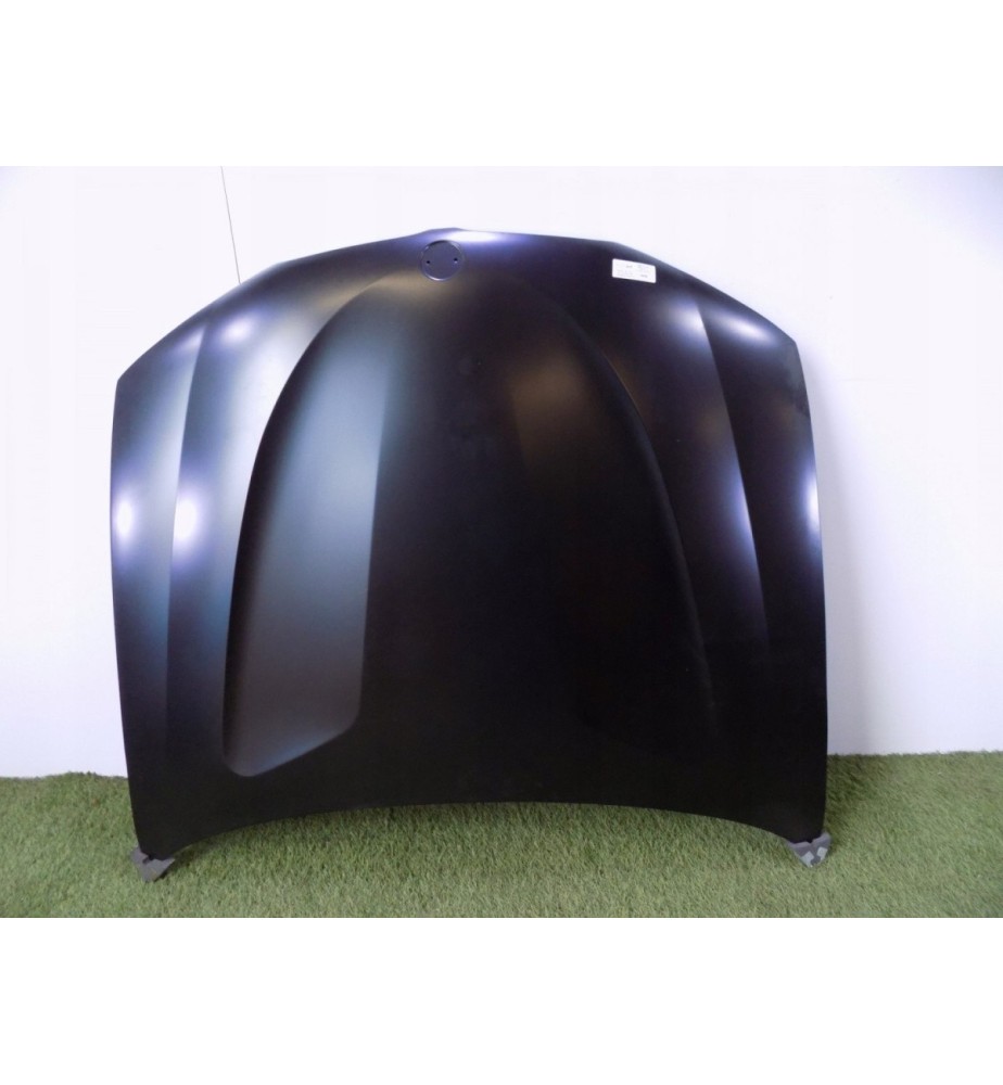 BMW X3 F25 / BMW X4 F26 Cofano Motore - 3006