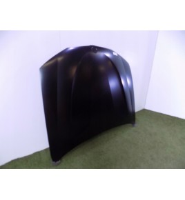 BMW X3 F25 / BMW X4 F26 Cofano Motore - 3006