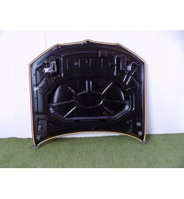 BMW X3 F25 / BMW X4 F26 Cofano Motore - 3006