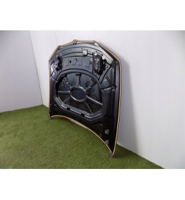 BMW X3 F25 / BMW X4 F26 Cofano Motore - 3006