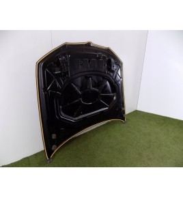 BMW X3 F25 / BMW X4 F26 Cofano Motore - 3006