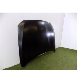 BMW 1/2 F20/22 Cofano Motore - 3007