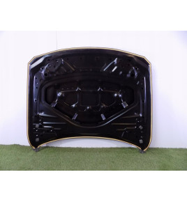 BMW 3 F30 / 31 BMW 4 F32 COFANO - 3002