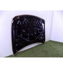 BMW 3 F30 / 31 BMW 4 F32 COFANO - 3002