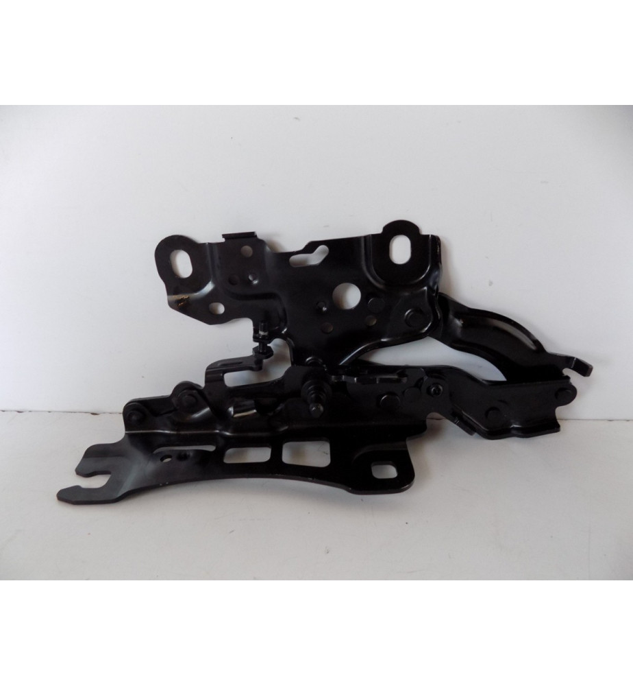 BMW 3 G20 G21 Cerniera cofano - sinistra - 12007