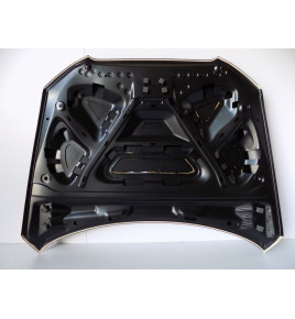 Audi Q5 - 8R Cofano motore (08 - 13) -12484