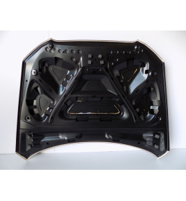 Audi Q5 - 8R Cofano motore (08 - 13) -12484