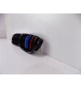 BMW 5 F10F11 Reni / Griglia - 0202