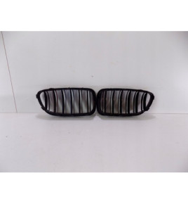 BMW 5 F10F11 Reni / Griglia - 0202