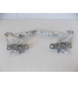 BMW 3 F30 F32 F33..Cerniera del cofano sx- 2926