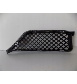 BMW X1 E84 Griglia paraurti sinistra - 3916