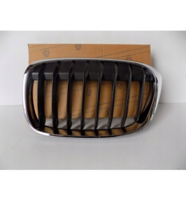 BMW X1 F48 / F49 Rene / Griglia sinistra - 3983