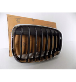 BMW X1 F48 / F49 Rene / Griglia sinistra - 3983