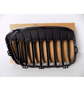 BMW X1 F48 / F49 Rene / Griglia sinistra - 3983