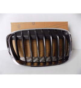 BMW X1 F48 / F49 Rene / Griglia destra - 3984