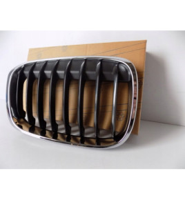 BMW X1 F48 / F49 Rene / Griglia destra - 3984