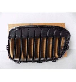 BMW X1 F48 / F49 Rene / Griglia destra - 3984
