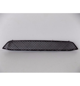 BMW X1 E84 Griglia paraurti centrale - 4089