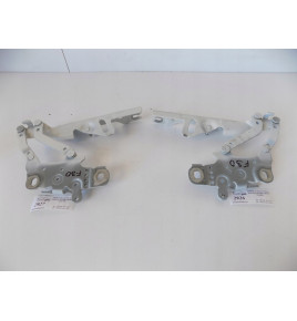 BMW 3 F30 F32 F33..Cerniera del cofano sx- 2926