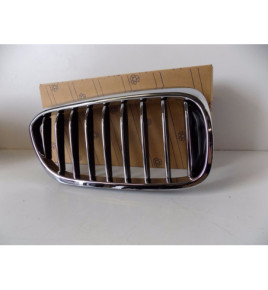 BMW 5 G30 / G31 Rene / Griglia destra - 3833